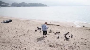 Çocuk kız kumsaldaki güvercin sürüsünün içinden geçiyor. İki yaşında bir çocuk güvercin kovalıyor..