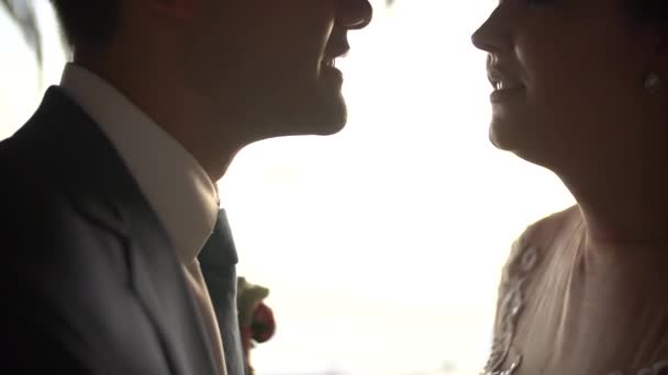 A noiva e o noivo beijam-se suavemente, close-up — Vídeo de Stock