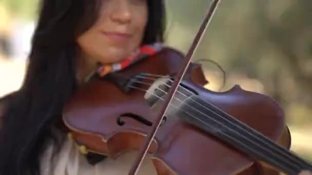 Meisje speelt viool in de middag in de zon, close-up — Stockvideo