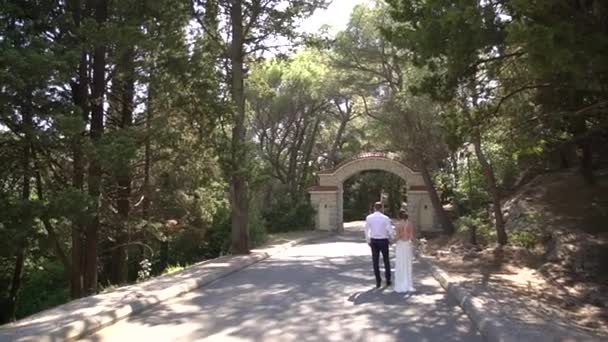 Braut und Bräutigam gehen Händchen haltend zum schönen Bogen am Eingang des Parks — Stockvideo