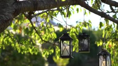 Mumları olan klasik fenerler, yemyeşil yapraklı ağaç dallarına asılıdır.