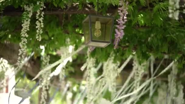 Uma lâmpada de rua em floração wisteria oscila no vento. Primavera floral fundo. — Vídeo de Stock