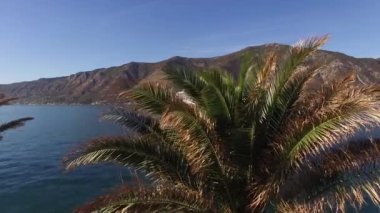 Kotor, Karadağ - 29 Temmuz 2020: Yolcu gemisi ön planda dev palmiye ağaçları olan Kotor Körfezi boyunca yelken açıyor