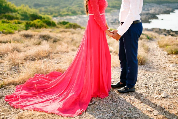 밝은 핑크 색긴 드레스를 입은 신부와 신랑은 자연 속에서 여름철에 서서 부드럽게 서로 손을 잡고 있다 — 스톡 사진