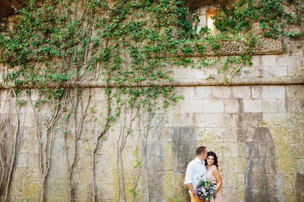 A vőlegény gyengéden megcsókolja a menyasszonyt egy gyönyörű pasztell színű ruhában egy borostyánnal összefonódó kőfal hátterében. — Stock Fotó