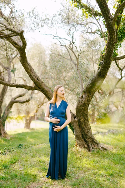 Ragazza incinta in un abito lungo blu guarda pensieroso a lato sullo sfondo di enormi alberi di ulivo verde — Foto Stock