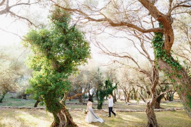Gelin ve damat bir buketle zeytin koruluğunda ağaçların arasında yürüyor. 