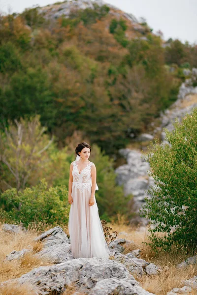 Seorang pengantin yang canggih dalam gaun renda halus berdiri di antara batu-batu di antara hijau di pegunungan — Stok Foto