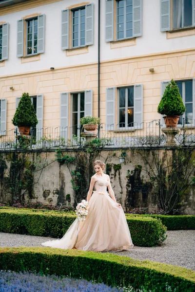 Menyasszony rózsaszín ruhában egy csokor virággal sétál át a parkon a nyírt bokrok mellett a régi villa közelében. Lake Como, Olaszország — Stock Fotó