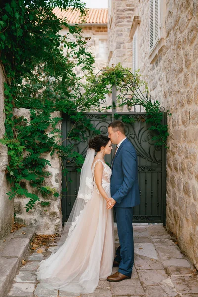A menyasszony és a vőlegény kéz a kézben állnak egy kis udvaron, közel a kovácsolt kapuhoz, a vőlegény homlokon csókolja a menyasszonyt. — Stock Fotó