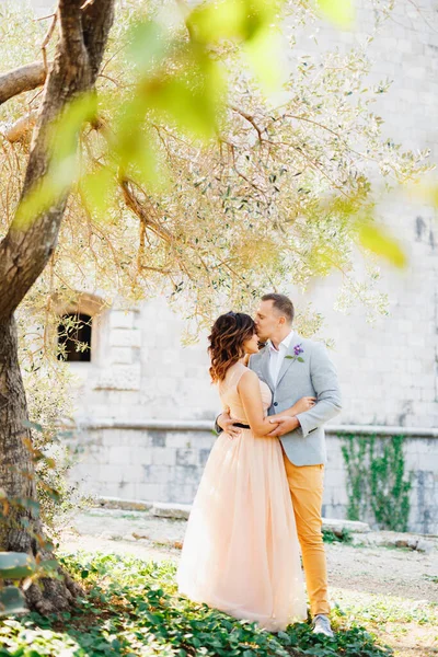 Ο γαμπρός φιλάει τη νύφη, αγκαλιάζοντάς την απαλά κοντά στο δέντρο στο φόντο του πέτρινου τοίχου — Φωτογραφία Αρχείου