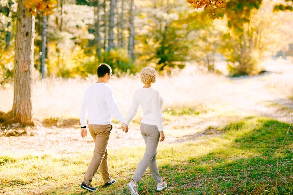 Mann und Frau gehen Händchen haltend durch den herbstlichen Wald. Rückseite — Stockfoto