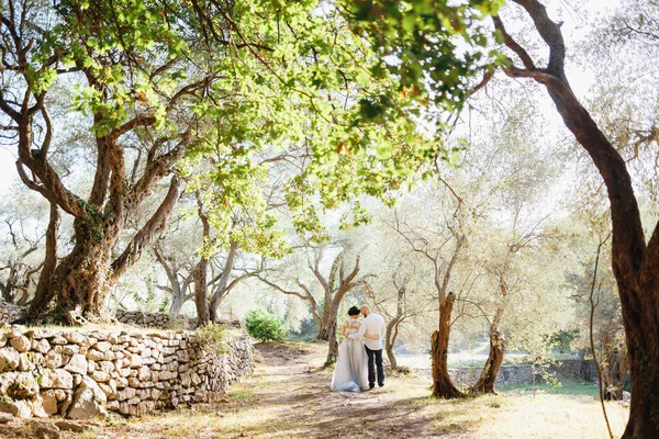 A menyasszony és állni kéz a kézben, közel a régi kő fal között a fák között egy olajfa ligetben, vissza nézet — Stock Fotó