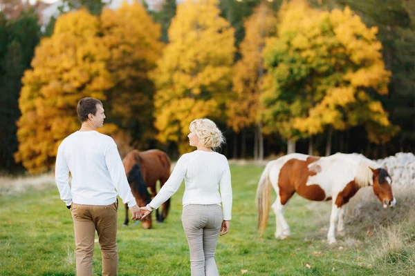 Några promenader på gräsmattan i höstskogen, håller varandra i handen. Hästar betar på gräsmattan. Bakifrån — Stockfoto