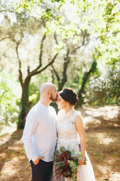 La mariée et le marié avec un bouquet se tiennent enlacés parmi les arbres dans une oliveraie, le marié embrasse la mariée sur le front — Photo