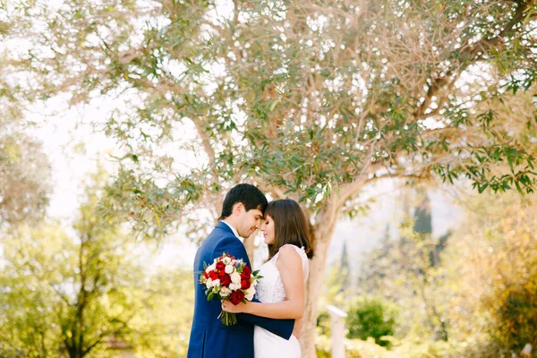 Groom hugs bride in a beautiful white dress with a bouquet of red and pink roses on a green tree background. — Stock Photo, Image