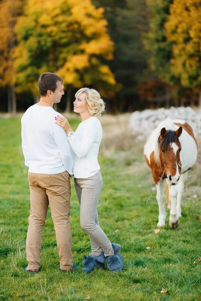 男は秋の森の芝生の上に立っている間に女性を抱擁する。芝生の上で馬の放牧 — ストック写真