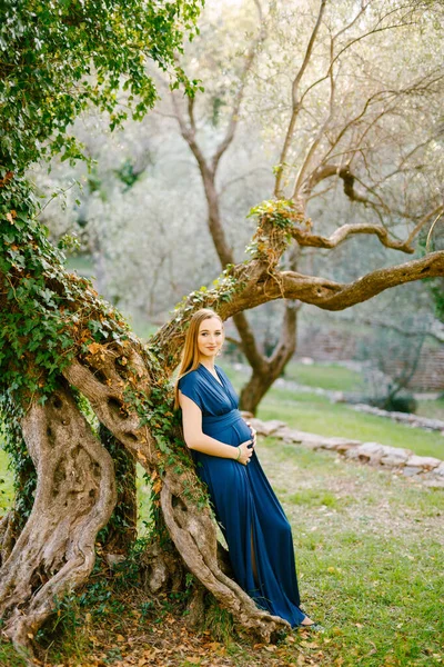 Tersenyum wanita hamil dalam gaun panjang berdiri dengan punggungnya terhadap pohon hijau besar ditutupi dengan ivy — Stok Foto