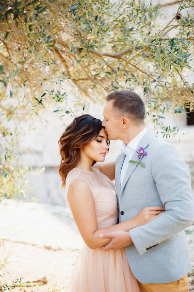 Groom embrasse mariée dans la belle robe pastel, en la serrant doucement sous l'arbre vert — Photo