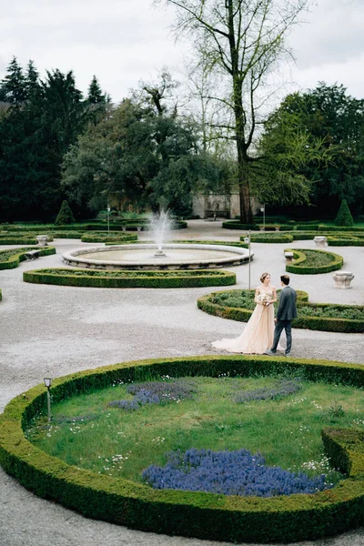 Los recién casados están en el parque contra el telón de fondo de arbustos bellamente recortados y una fuente en el parque. Lago de Como, Italia —  Fotos de Stock
