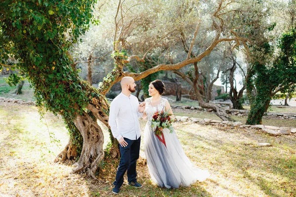 A menyasszony és a vőlegény egy csokorral áll a fák között egy olajfaligetben. — Stock Fotó