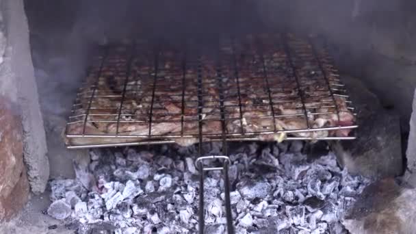 Żeberka jagnięce smażone są na węglu na grillu. — Wideo stockowe