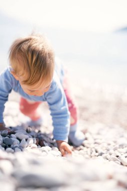 Sevimli bebek çakıl taşı plajında başı eğik bir şekilde dört ayak üzerinde duruyor. Yakın plan.