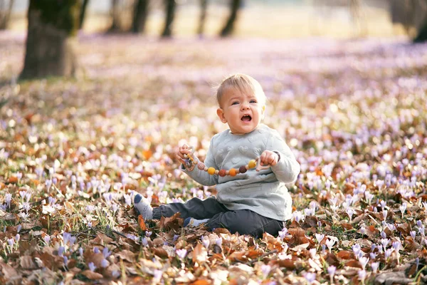Niedliches Baby sitzt auf abgefallenen Blättern, schaut überrascht weg und hält eine Rassel in den Händen — Stockfoto