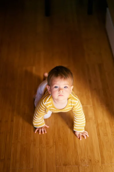 Allvarligt småbarn kryper på trägolvet i rummet. Utsikt ovanifrån — Stockfoto