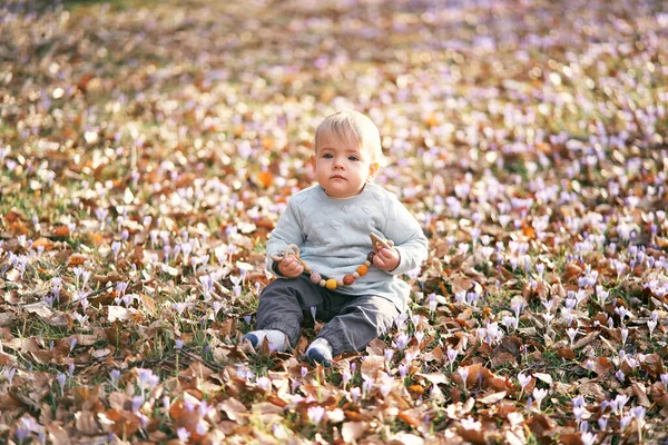 Söt baby i blå tröja och grå byxor sitter på fallna löv och håller en skallra i händerna — Stockfoto