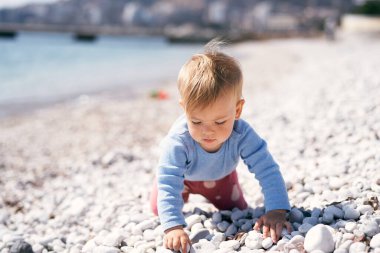 Düşünceli bebek bir çakıl taşı plajı boyunca sürünüyor, elinde bir çakıl taşı tutuyor, deniz kenarında.