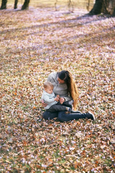 Mom sits on fallen leaves in the park and holds a baby with a rattle on her lap, bending over him — Stock Photo, Image