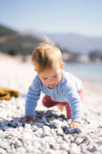 파란색 블라우스와 빨간 바지를 입은 귀여운 아기가 조약돌 해변을 따라 기어다니며 혀를 내밀고 있다 — 스톡 사진