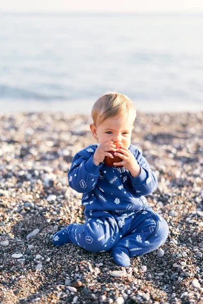파란 작업복을 입은 어린아이가 자갈 해변에 앉아 사과를 먹는다. 클로즈업 — 스톡 사진