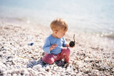 Küçük bir çocuk sahile yakın bir çakıl taşında oturur, elinde bir kozalak tutar ve ona bakar.