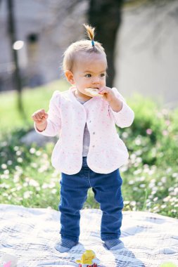 Kafasında at kuyruğu olan küçük bir kız, çiçeklerin arasında yeşil bir çimenlikte kareli bir battaniyenin üzerinde duran meyve kırıntısını kemiriyor.