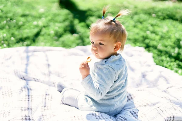 小さな赤ちゃんの女の子は緑の芝生の上の毛布の上に座って、彼女の手にフルーツチップを保持します。バックビュー — ストック写真