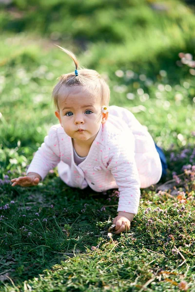 Pequeño niño se arrastra sobre un césped verde entre las flores —  Fotos de Stock