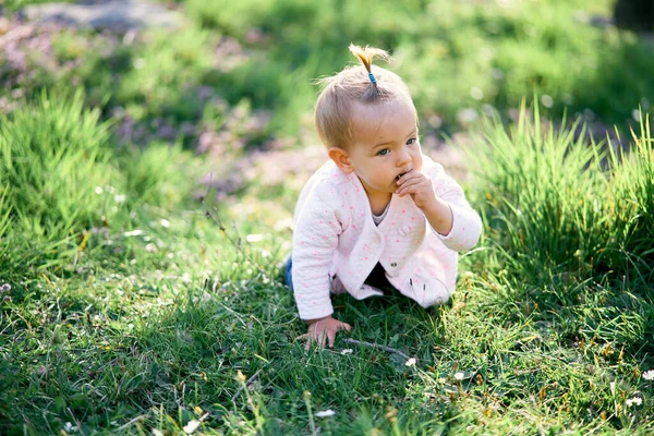 Kleines Mädchen krabbelt auf grünem Rasen und nagt an etwas, hält es in der Hand — Stockfoto