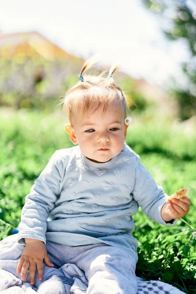 Mignon tout-petit avec deux queues de cheval tient des frites de fruits dans sa main tout en étant assis sur une couverture sur une pelouse verte — Photo