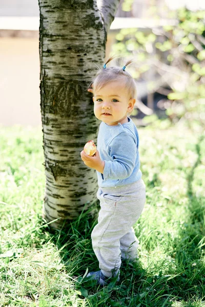 Niña parada cerca de un árbol en hierba verde y sostiene un melocotón en su mano —  Fotos de Stock