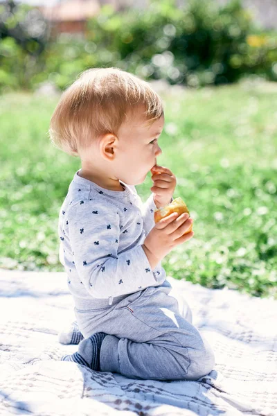 Bayi yang lucu duduk di atas selimut dan menggigit buah persik kuning, memegangnya dengan tangannya. Tampilan samping — Stok Foto