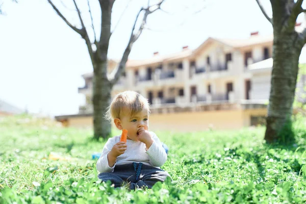 Bambino si siede sull'erba verde e rode una carota sullo sfondo della casa — Foto Stock