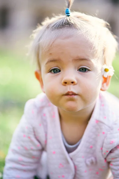 Маленькая девочка с белой ромашкой за ухом. Крупный план — стоковое фото