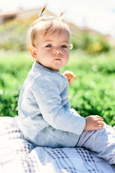 Petite fille mignonne avec deux queues de cheval tient des frites de fruits dans sa main, assis sur une couverture parmi la verdure — Photo