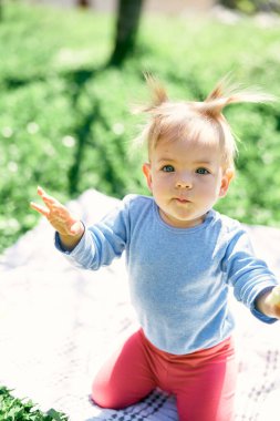 Küçük kız yeşil çimenlerin üzerinde dizlerinin üzerinde oturuyor ve ellerini kaldırıyor.