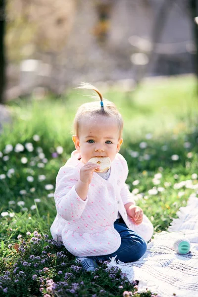 Kleines Mädchen mit Pferdeschwanz auf dem Kopf nagt an einem Fruchtsplitter, während es auf einem grünen Rasen inmitten von Blumen neben einer karierten Decke sitzt — Stockfoto