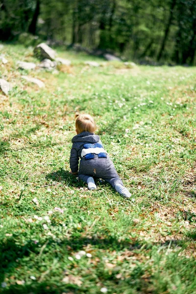 Маленькая девочка ползает по зеленой лужайке. Вид сзади — стоковое фото