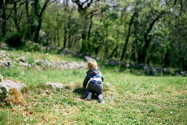 小さな子供の緑の芝生に沿ってクロールします。バックビュー — ストック写真