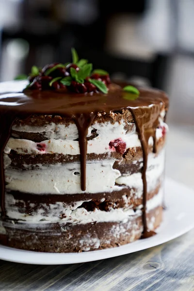 プレート上のチョコレートブラウニーケーキ。閉鎖 — ストック写真